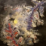 R_moon2_card