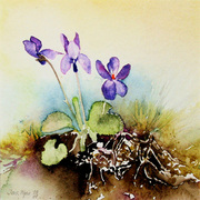 267jw_card