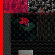 6_card