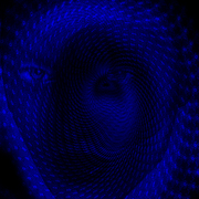 Stellar_face_card