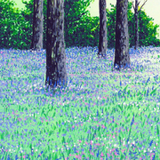 Woodland_glade_card