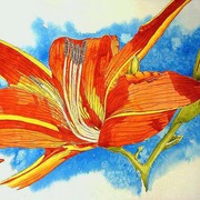 Orchid_card