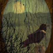 Surveyingthelandtoo_card