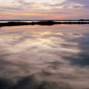 Img_2592_card