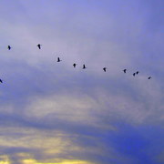 Img_2582_card