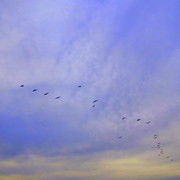 Img_2583_card