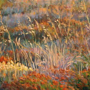 Macchia_mediterranea_al_sorgere_del_sole_card