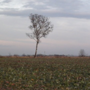 Dsc00351_card