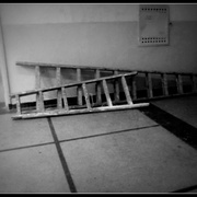 ______1032-1_card