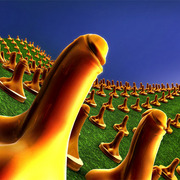 A-landscape_nr_card