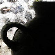 Imag0361_card