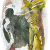 Spaltung_2011_thumb