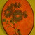 Dsc00972_tiny_square