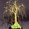 Weeping_willow_-_mini_thumb