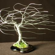 Wind_swept_card
