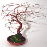 Terra_cotta_wind_swept__up_card