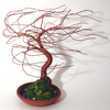Terra_cotta_wind_swept__up_thumb
