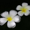 Img_0373_copia_thumb