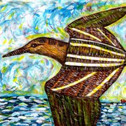 An_american_woodcock_in_flight_card