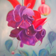 Sscn0820_card