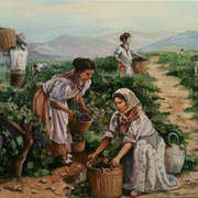 La-vendimia_card