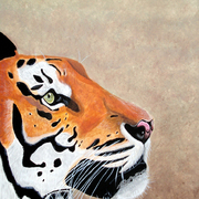Tigre7s_card