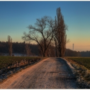 Neues_bild_card