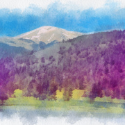 Rockies_card