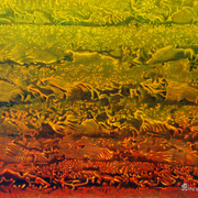 Cultivated_fen_2_card