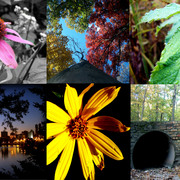 This_is_my_pretty_collage_card