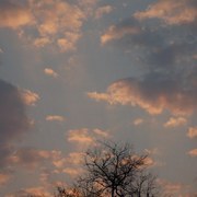 Sunset_2_card
