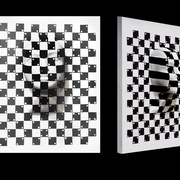 Mimicry_card