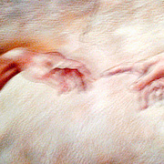 2011-12-22093954_card