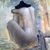 2011-12-22094706_tiny_square