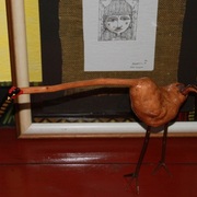 Irish-potato__height_47