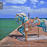 Thepaintedpony_card