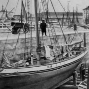 Calais_card