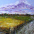 Kornfeld500_tiny_square