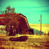 Barn_thumb