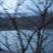 Winterlakebiwa_square
