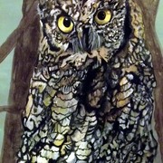 Screech1_card