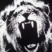 Lion_card