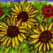 Flowers_looking_for_the_sun_card