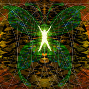 Butterflyeffectsmall_card