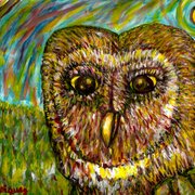 Barn_owl_in_thought_card