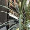 064_thumb