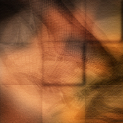 Fuss_web_card