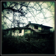 ______3352-1_card