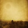 Wanderer_romansolar_thumb