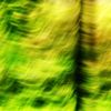 Portal_romansolar_thumb